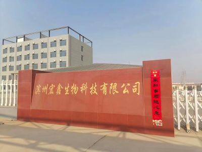 中国硫酸亚铁工厂